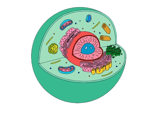 yay! this image fits my color scheme une cellule